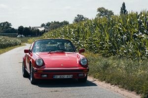 519234227 1301329265330793 6603077451071030174 n